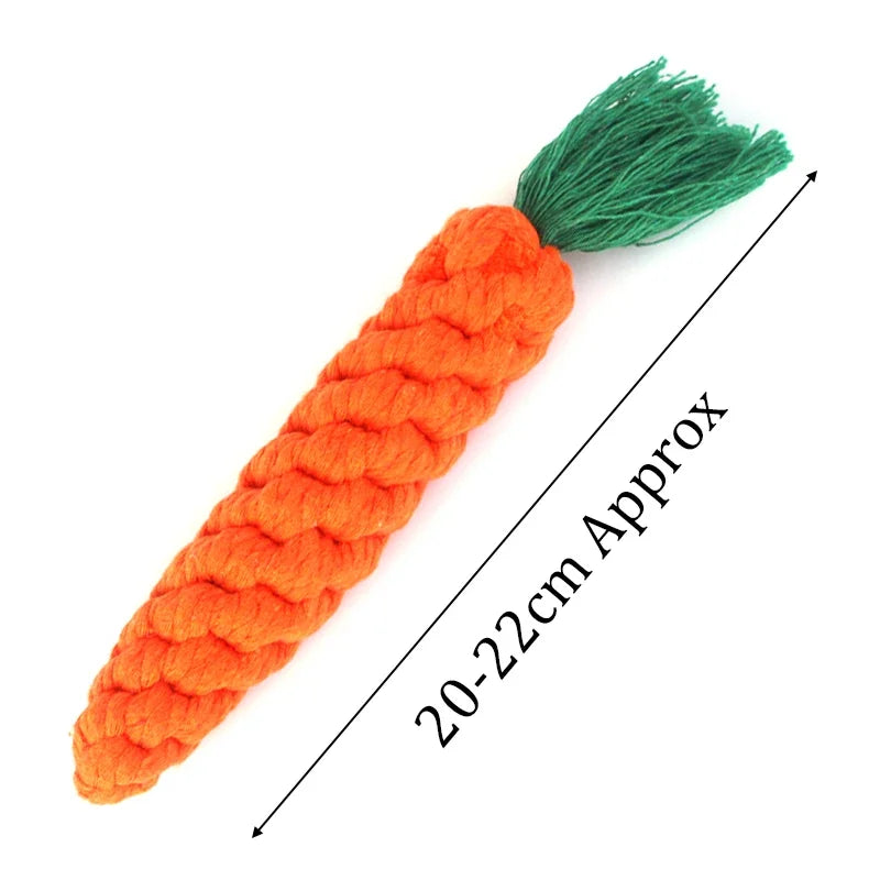 Dog toy shaped like a carrot with a green top on a white background