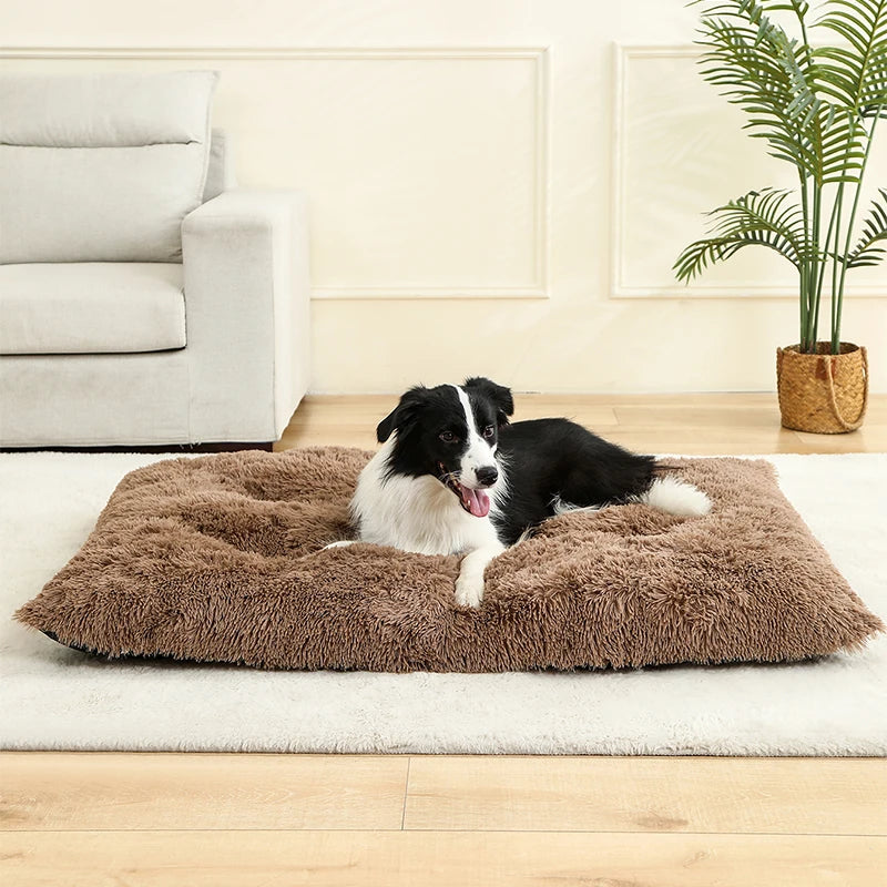 Dog lying on a fluffy brown pet bed in a living room.