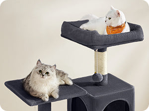 Two cats on a gray cat tree with a white background