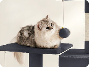 Cat sitting on a black cat tree with a toy ball attached
